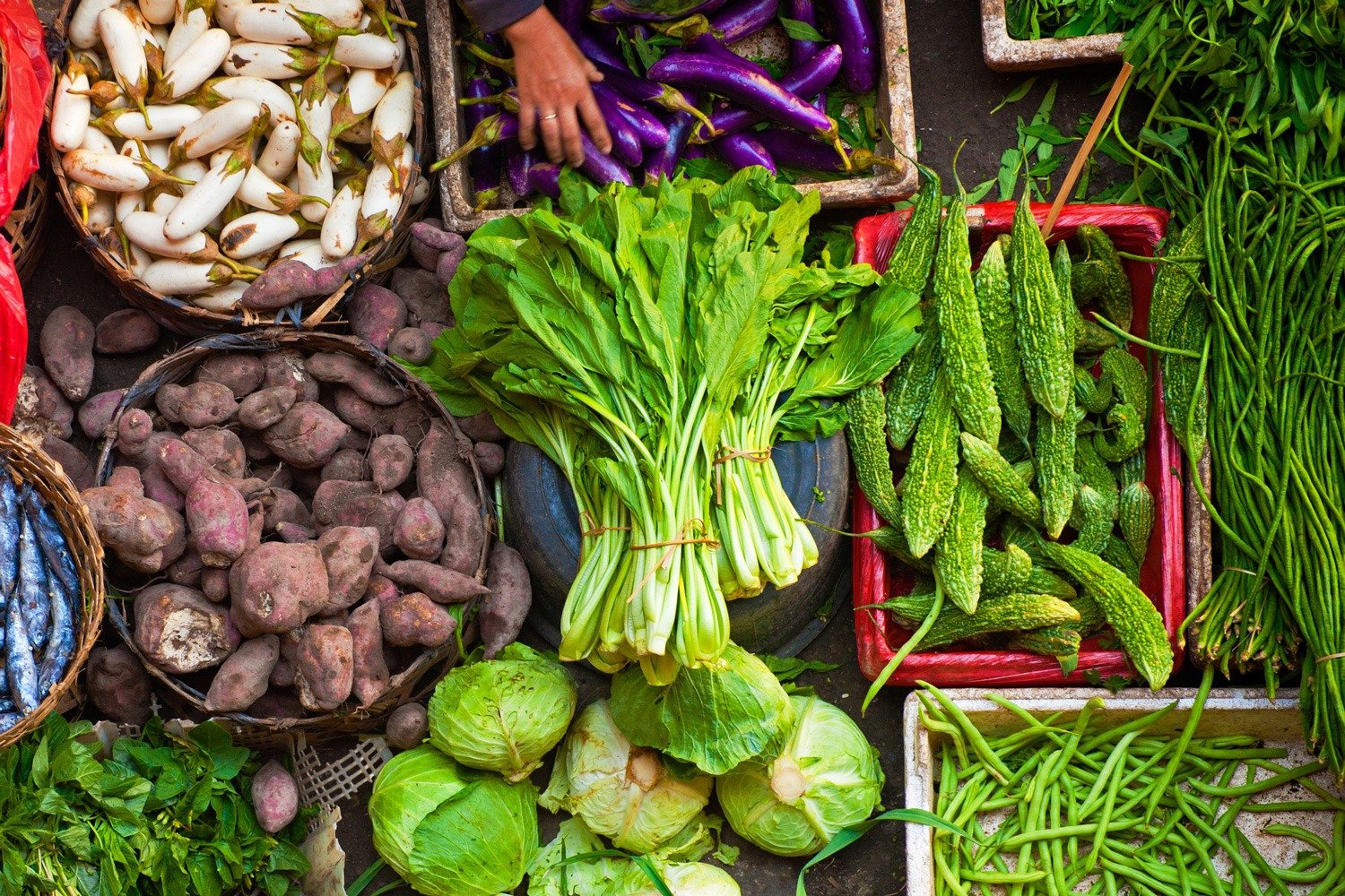 Fresh Asian fruit and vegetables